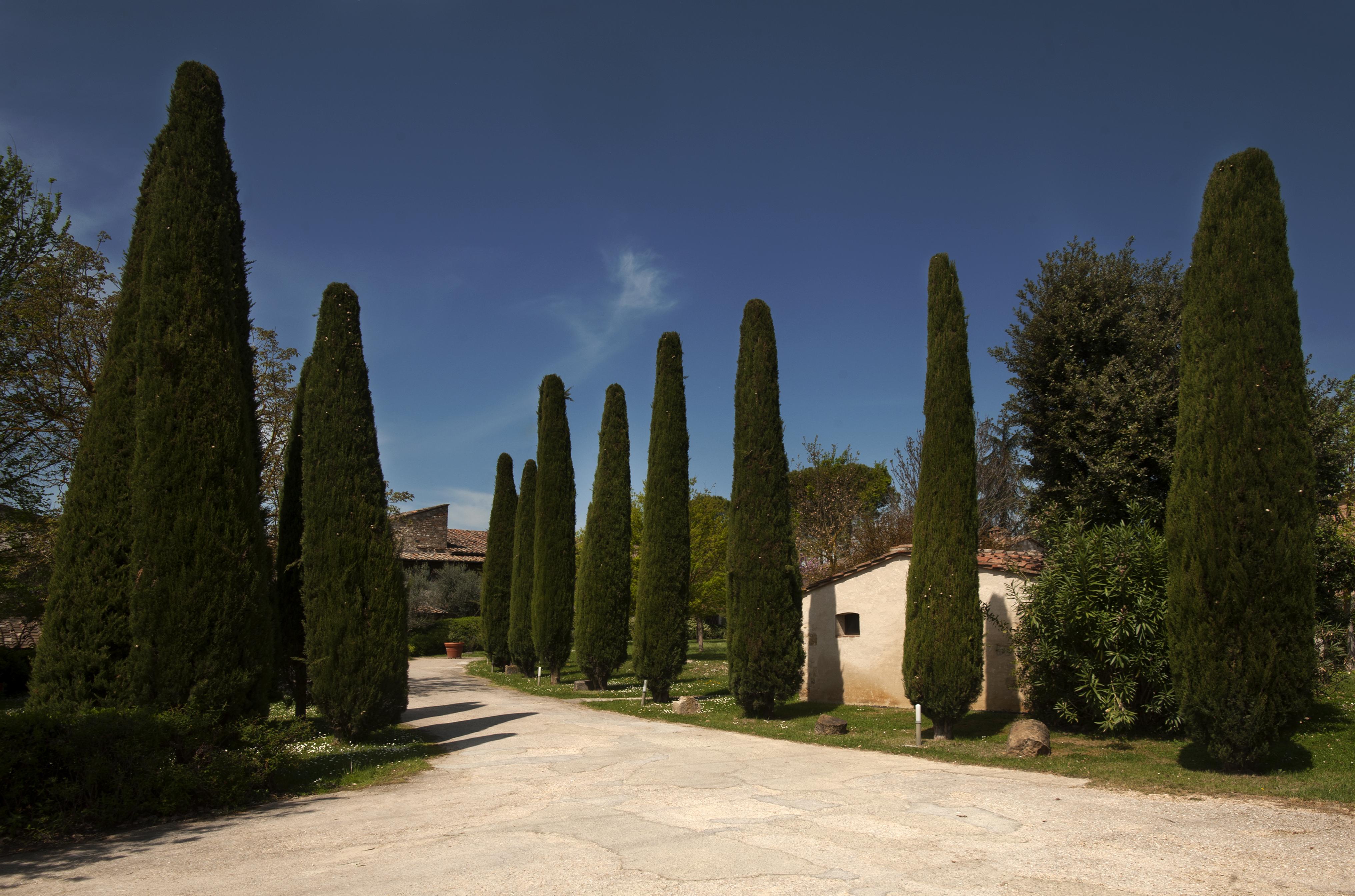 Relais Della Rovere Colle Val D'Elsa Dış mekan fotoğraf